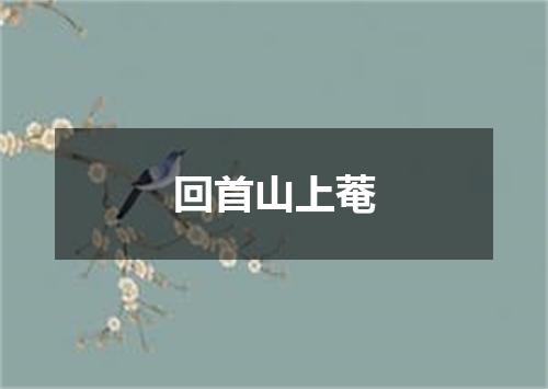 回首山上菴