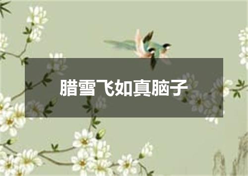 腊雪飞如真脑子