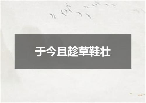 于今且趁草鞋壮
