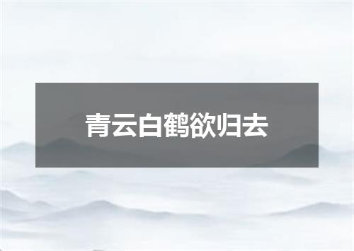 青云白鹤欲归去
