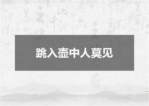 跳入壶中人莫见