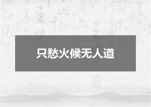 只愁火候无人道