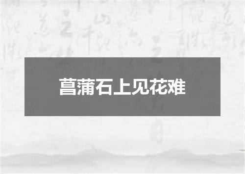 菖蒲石上见花难