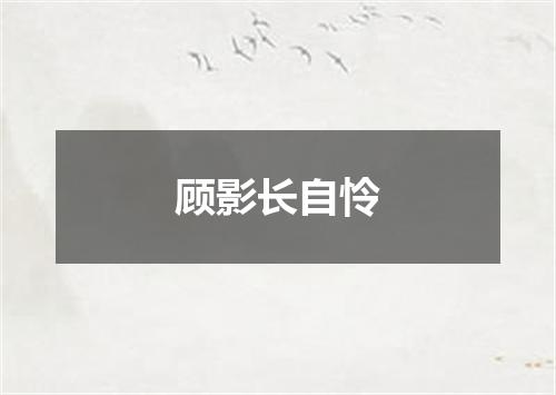 顾影长自怜