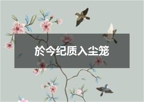 於今纪质入尘笼