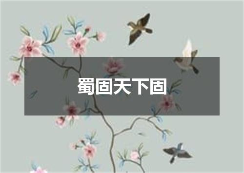蜀固天下固