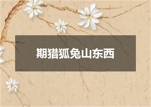 期猎狐兔山东西