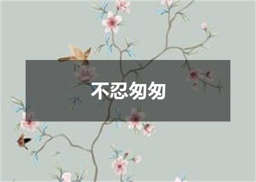 不忍匆匆