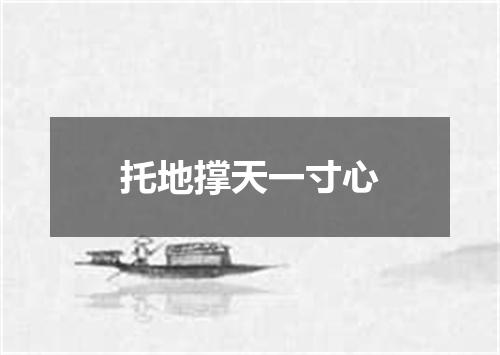 托地撑天一寸心