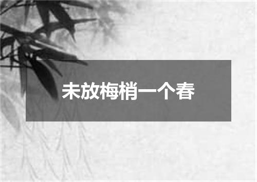 未放梅梢一个春