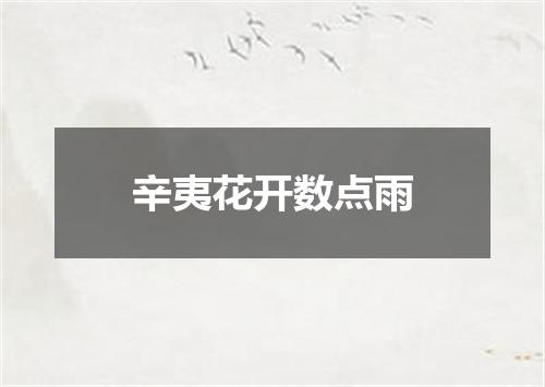 辛夷花开数点雨