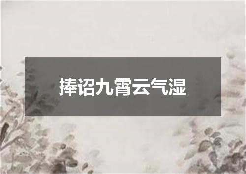 捧诏九霄云气湿