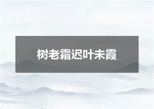 树老霜迟叶未霞
