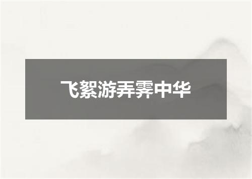 飞絮游弄霁中华