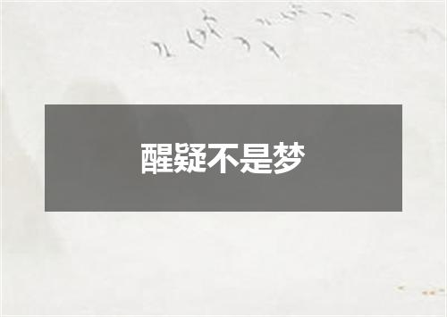 醒疑不是梦