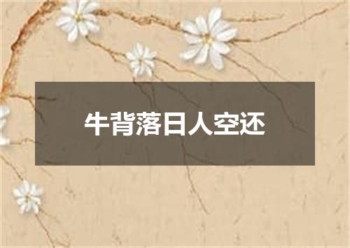 牛背落日人空还