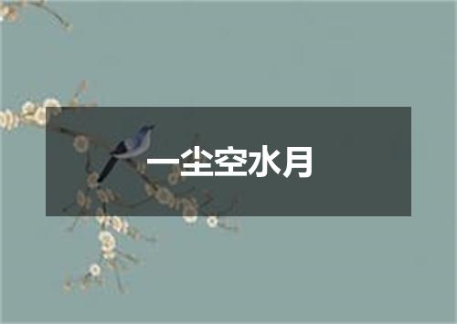 一尘空水月