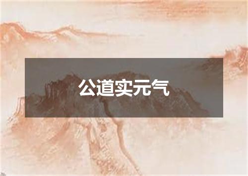 公道实元气
