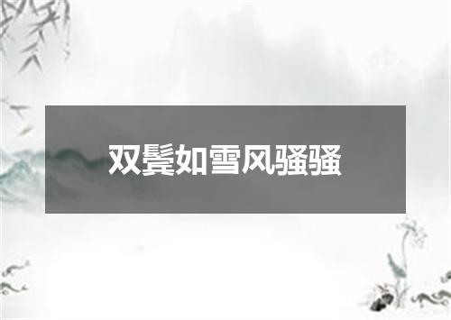 双鬓如雪风骚骚