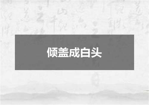 倾盖成白头