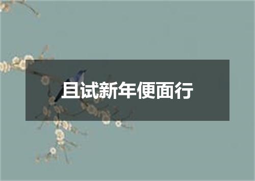 且试新年便面行