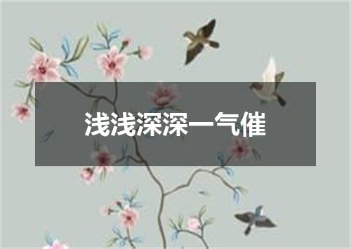 浅浅深深一气催