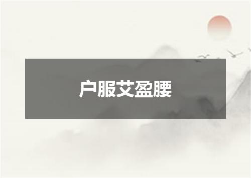 户服艾盈腰