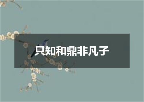 只知和鼎非凡子