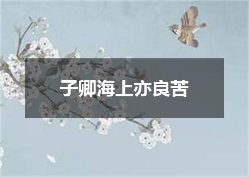 子卿海上亦良苦