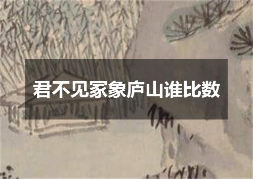 君不见冢象庐山谁比数
