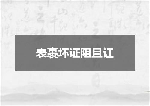 表裹坏证阻且讧