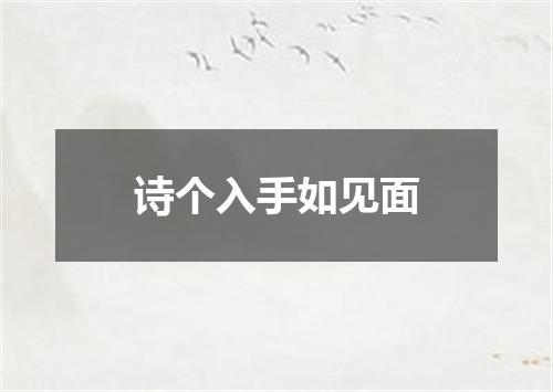 诗个入手如见面