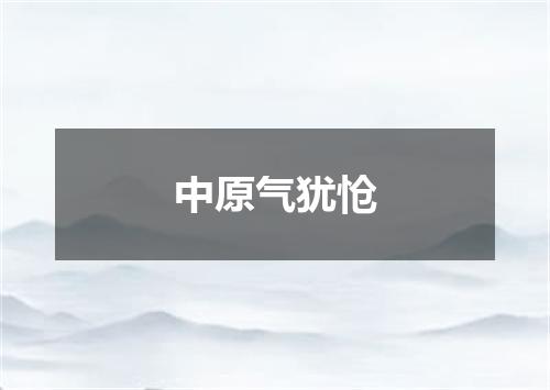 中原气犹怆