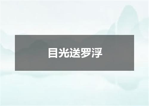 目光送罗浮