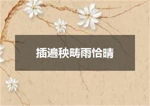 插遍秧畴雨恰晴