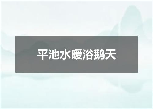 平池水暖浴鹅天
