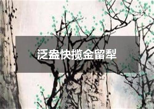 泛盎快揽金留犁