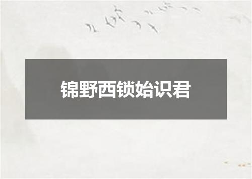 锦野西锁始识君