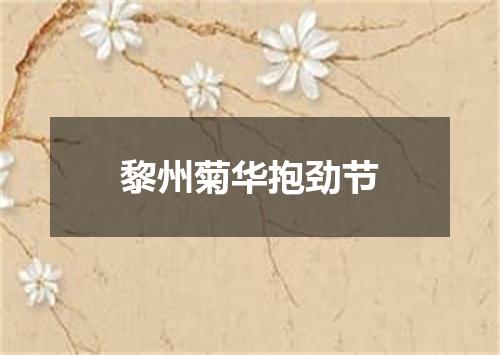 黎州菊华抱劲节