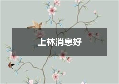 上林消息好