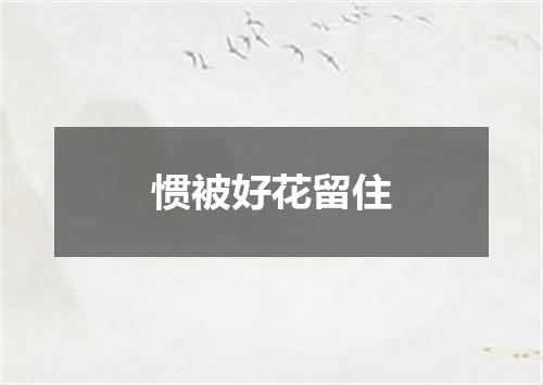 惯被好花留住