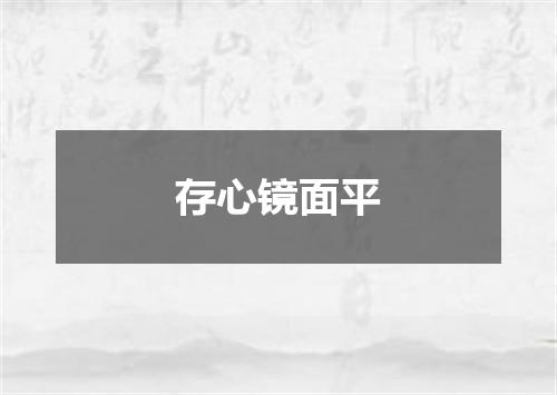 存心镜面平