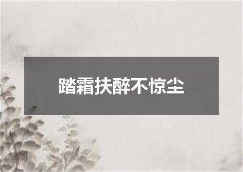 踏霜扶醉不惊尘