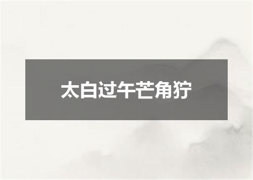 太白过午芒角狞
