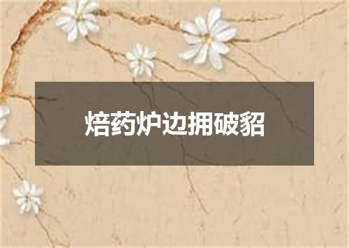 焙药炉边拥破貂