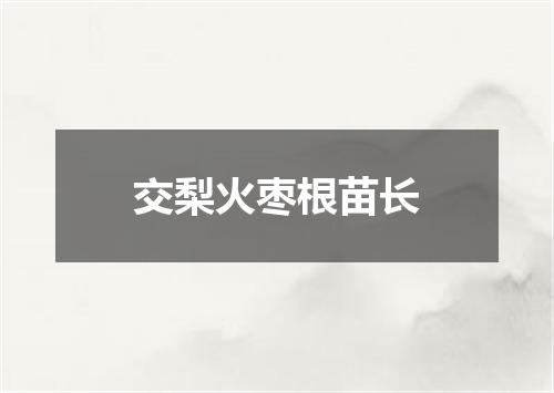 交梨火枣根苗长