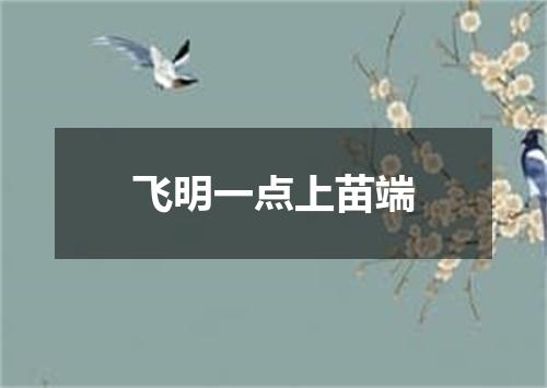 飞明一点上苗端