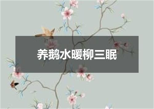养鹅水暖柳三眠