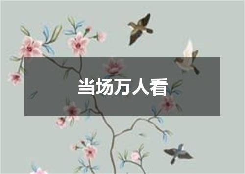 当场万人看