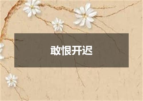 敢恨开迟